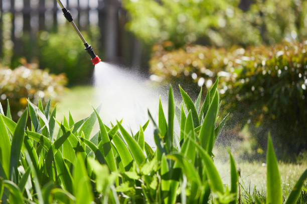 24/7 Emergency Mosquito Control experts in Troy, TN